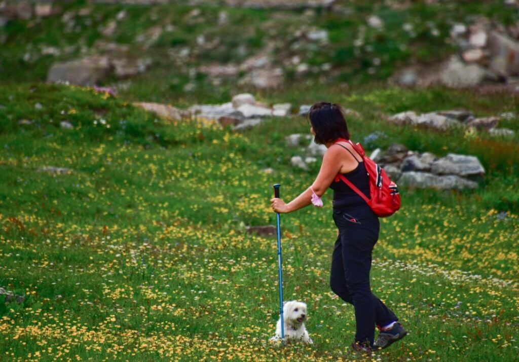 Spotkanie Seniorów na Spacerze Nordic Walking po Ścieżkach Warszawskich Celebrytek